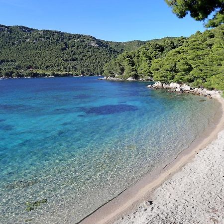 Apartments By The Sea Zuljana, Peljesac - 19080 Bagian luar foto
