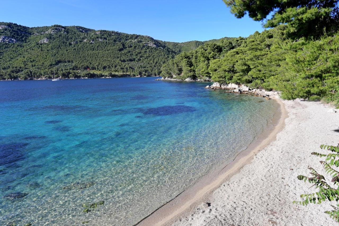 Apartments By The Sea Zuljana, Peljesac - 19080 Bagian luar foto
